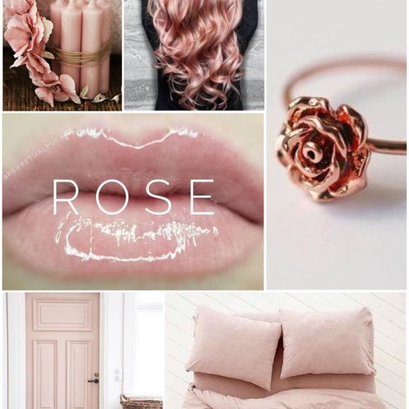 Rose LipSense Moisturizing Gloss by SeneGence - Picture 1 of 4